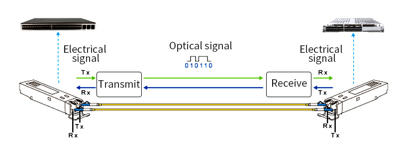 sfp module 4