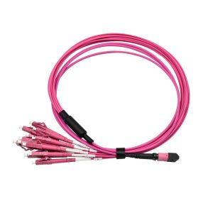 MPO 12 LC OM4 Fiber Patch Cord 1