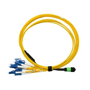 MPO 12 LC OS2 Fiber Patch Cord 1