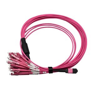 MPO 24 LC OM4 Fiber Patch Cord 1