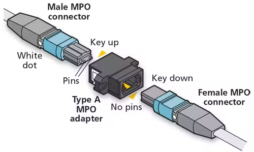 MPO patch cord