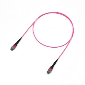 OM4 MTP MTP Fiber Patch Cord 2