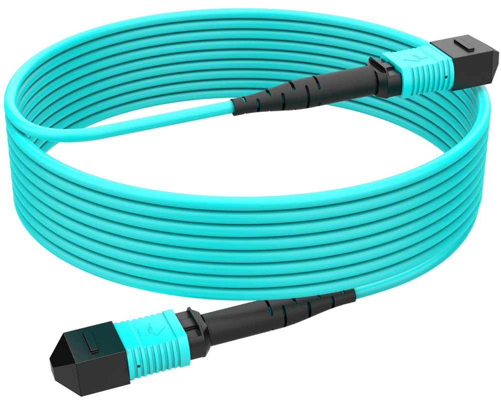 MPO fiber patchcord (2)