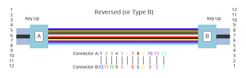 mpo patchcord (3)
