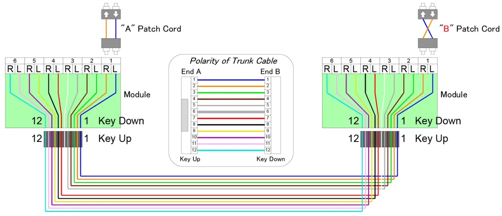 mpo patchcord (5)