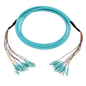 Multimode 12C fiber optic patchcord (1)